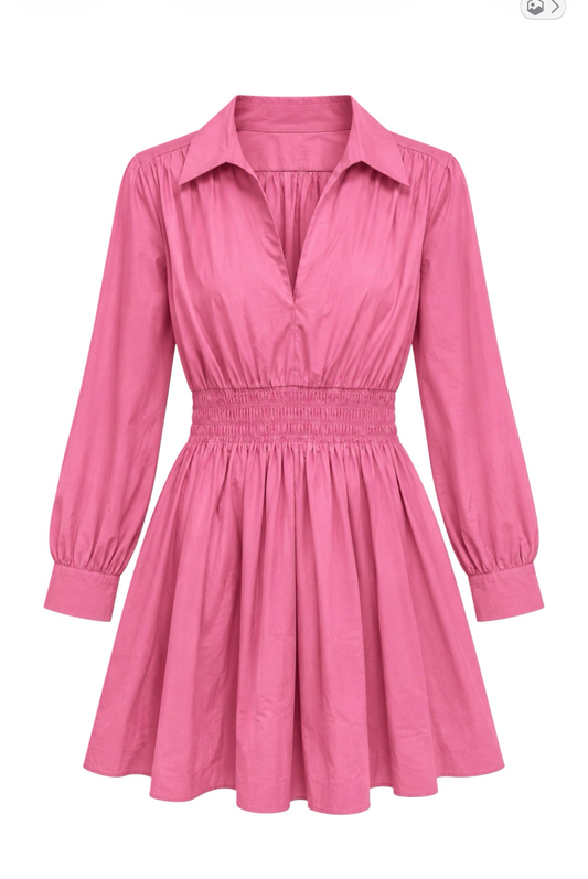 Pink Zara long sleeve shirt dress with shirred waist (NBW)